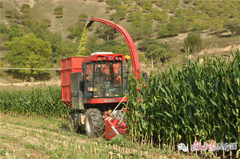 青春在奮斗中閃光——記環縣蘆家灣鄉盤龍村第一書記安立博